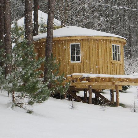 La Maison Sous Les Arbres Saint Roch de Mekinac 외부 사진