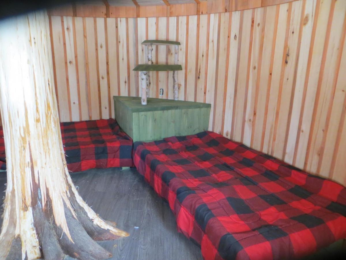 La Maison Sous Les Arbres Saint Roch de Mekinac 외부 사진